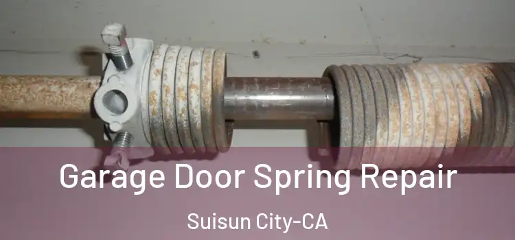 Garage Door Spring Repair Suisun City-CA