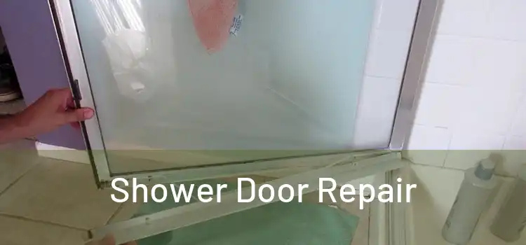  Shower Door Repair 